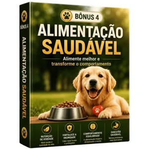 Bônus: Alimentação Saudável